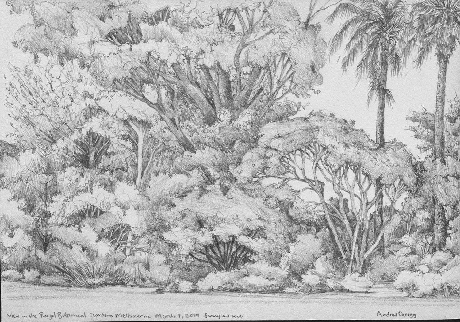 drawing of bushes