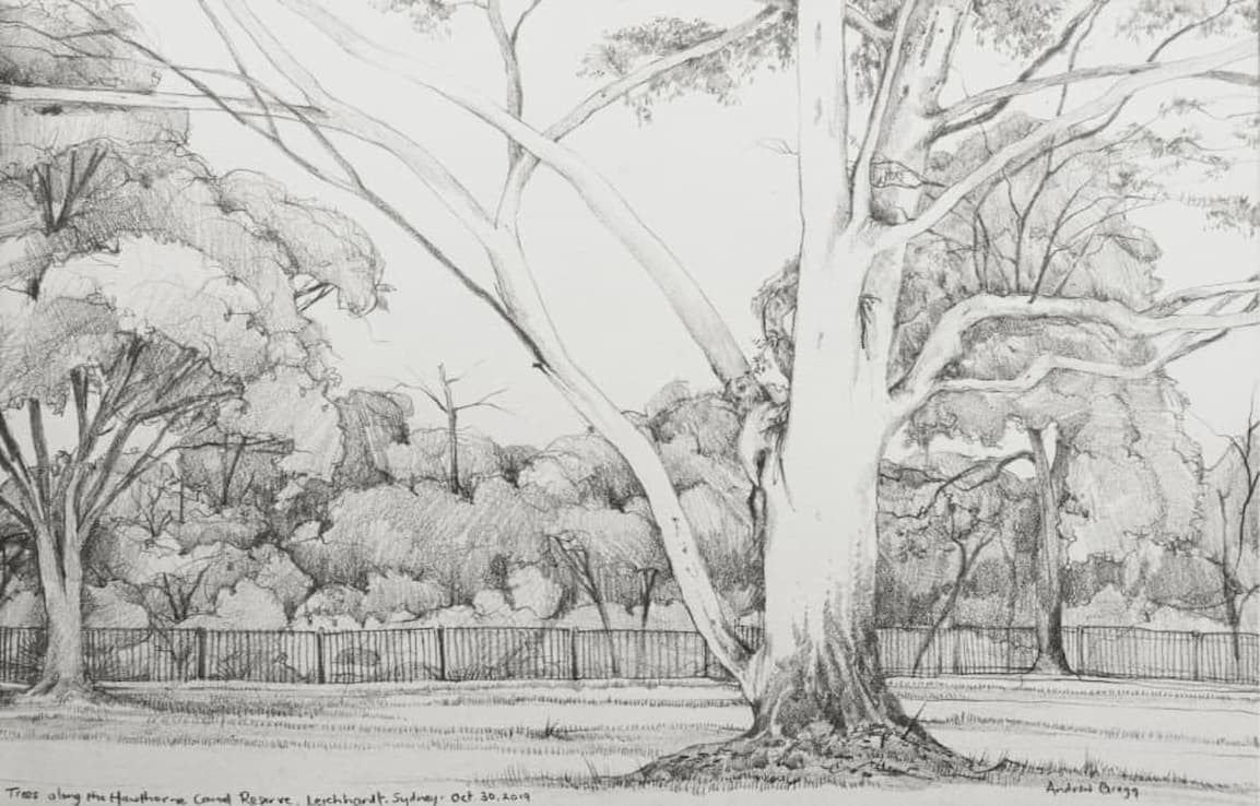 drawing of large grand tree