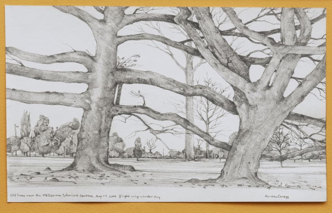 drawing of two thin tree