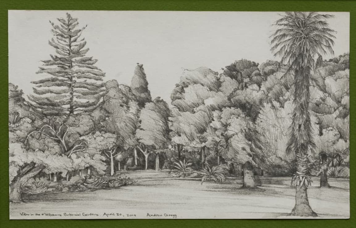 drawing of tall trees and clearning