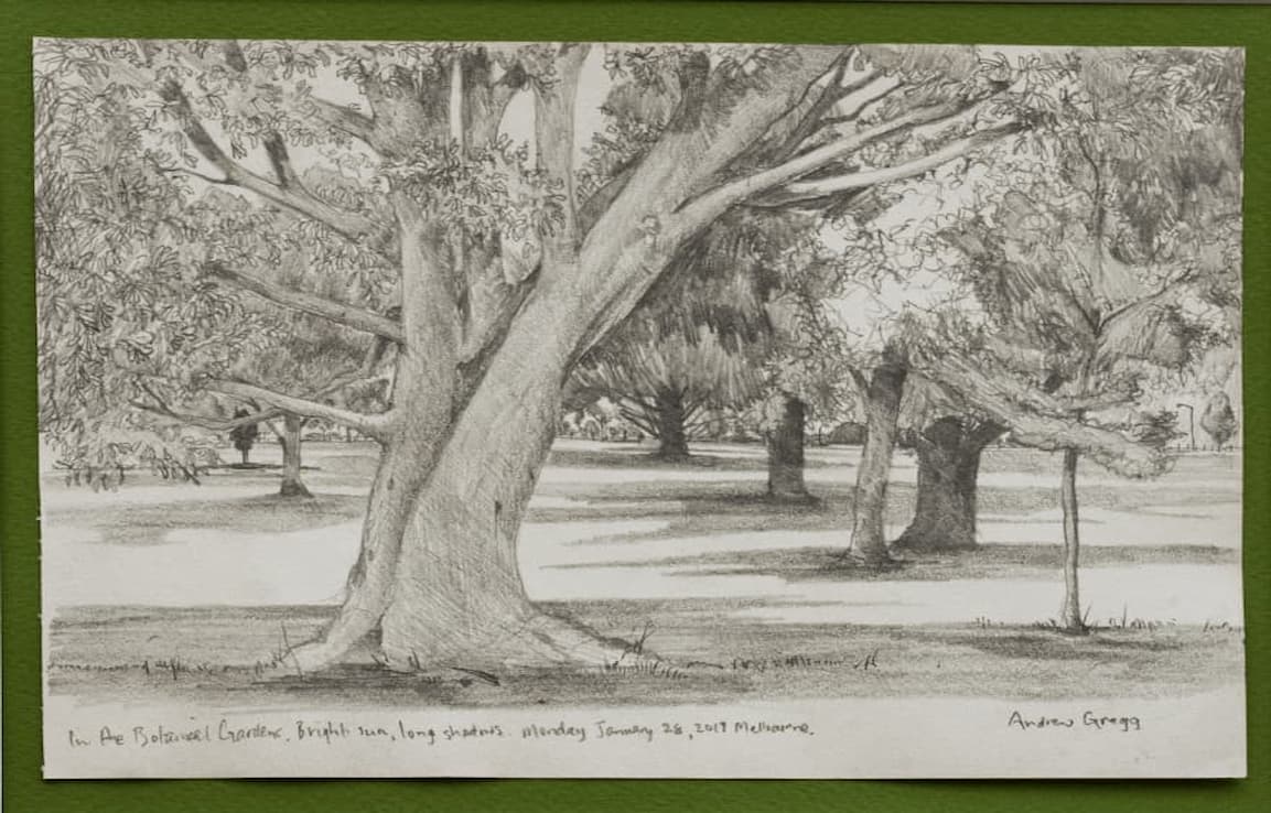 drawing of large solo  curving tree with background