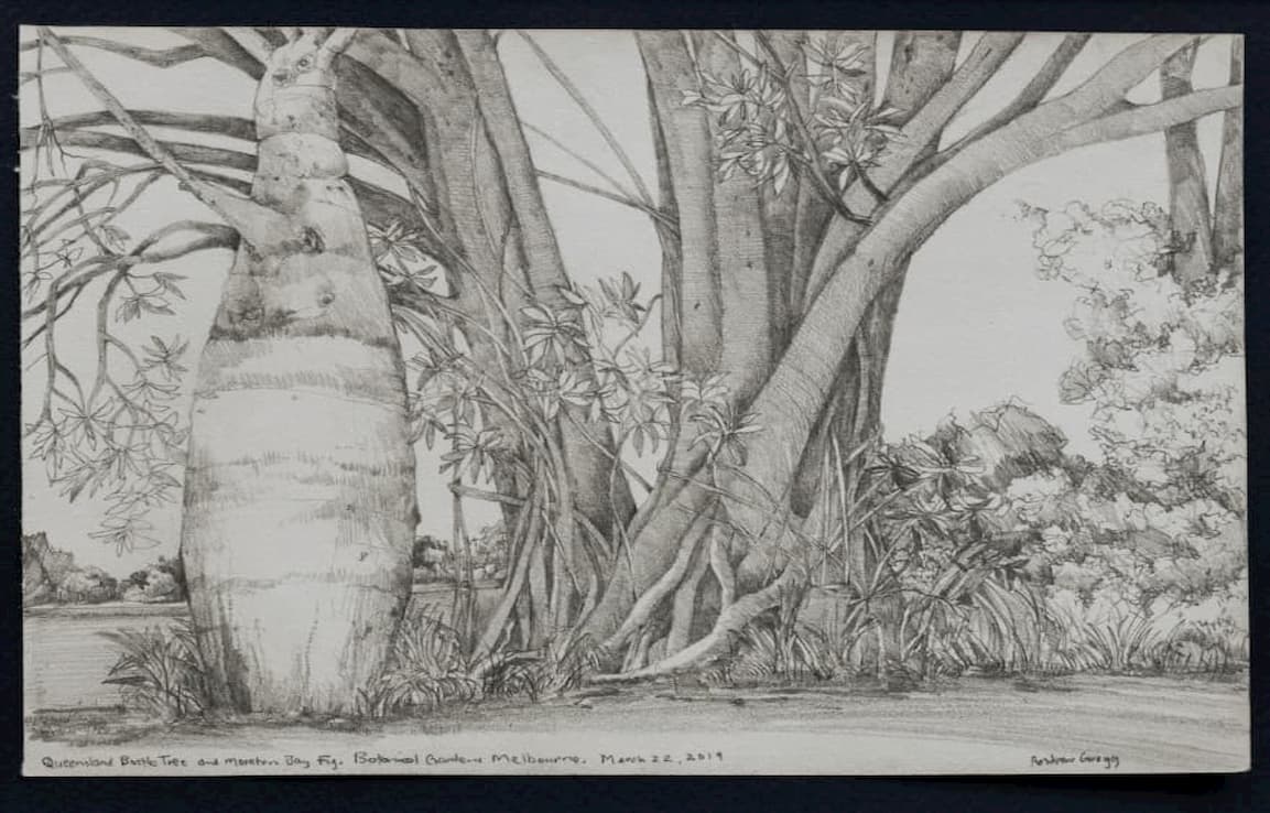 drawing of bottle tree