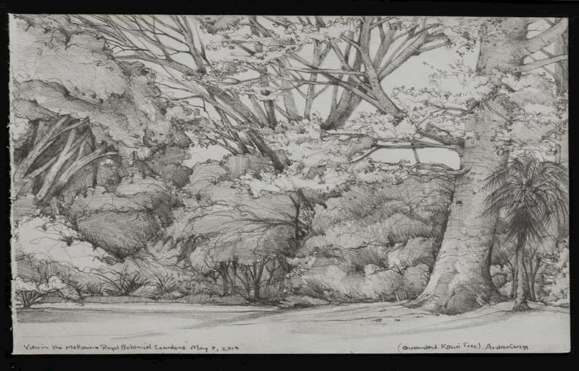drawing of bush and trees
