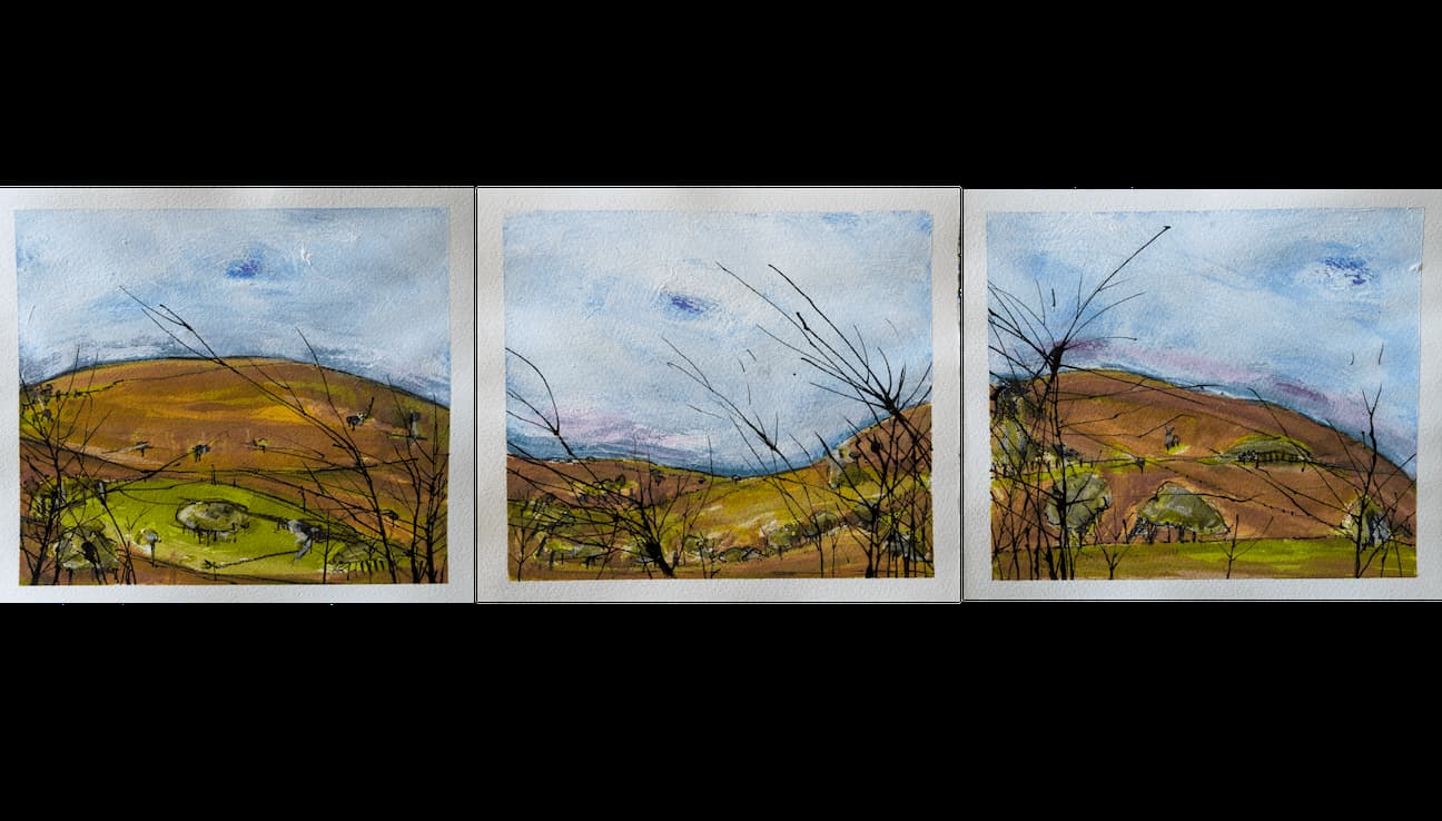 group of three - blue sky, hills, field, bushes and grasses landscape