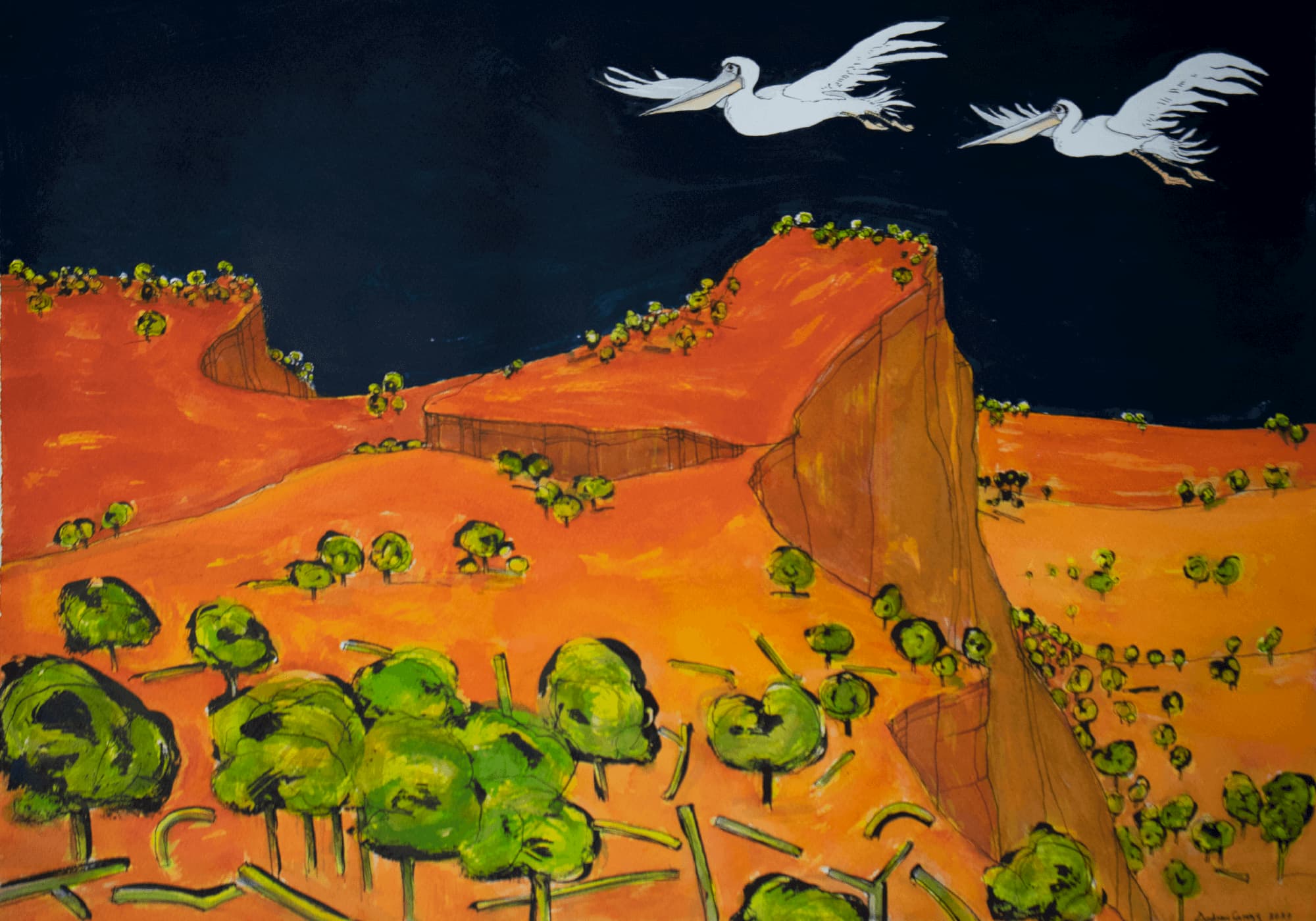bright, colourful painting of two pelicans flying across a black sky.  The Australian landscape has bright orange cliffs in the background with stylized green trees in the foreground.  Painting by Andrew Gregg